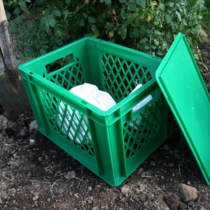 Beetbox mit Startpopulation Kompostwürmer